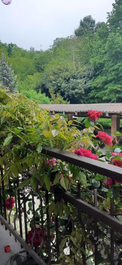 Il Giardino Del Gallo شيراسكو المظهر الخارجي الصورة