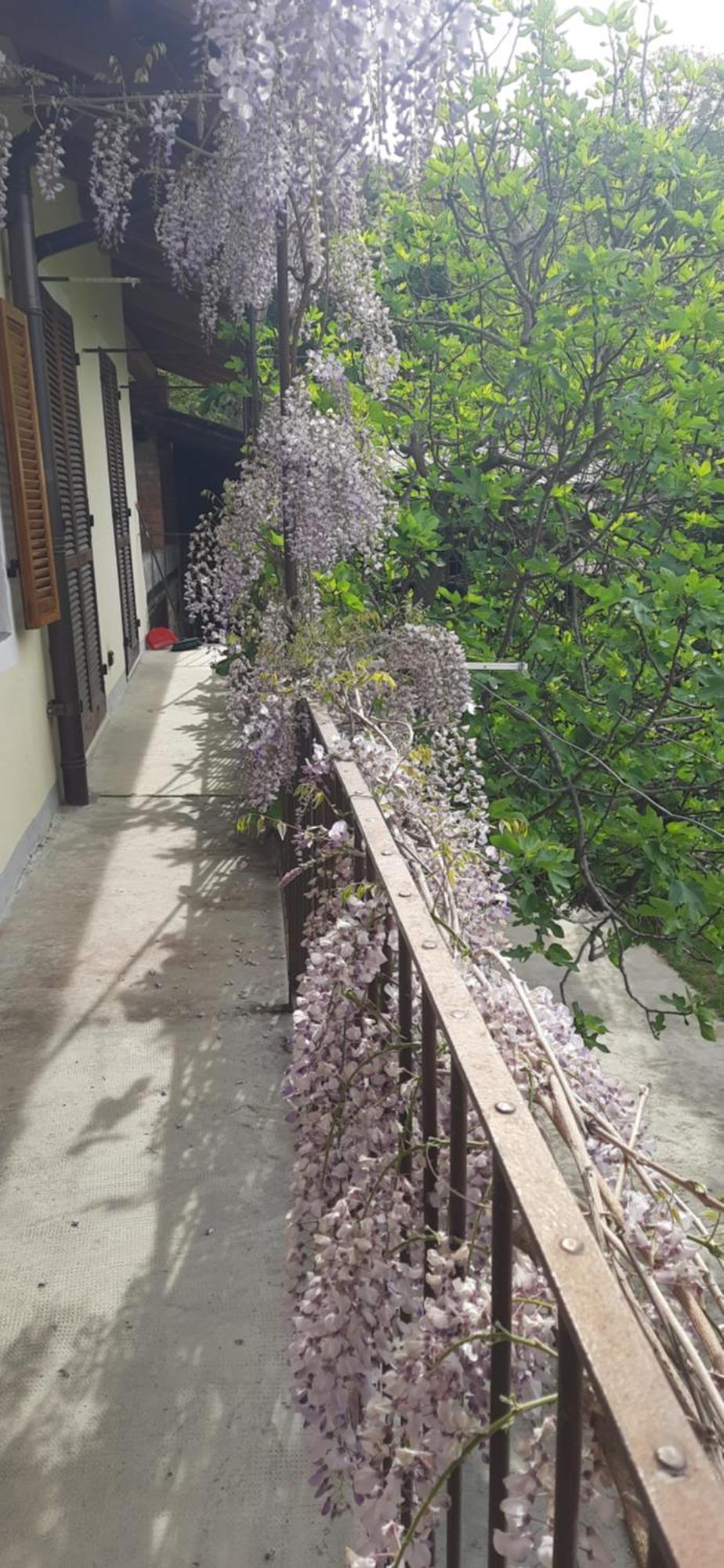 Il Giardino Del Gallo شيراسكو المظهر الخارجي الصورة