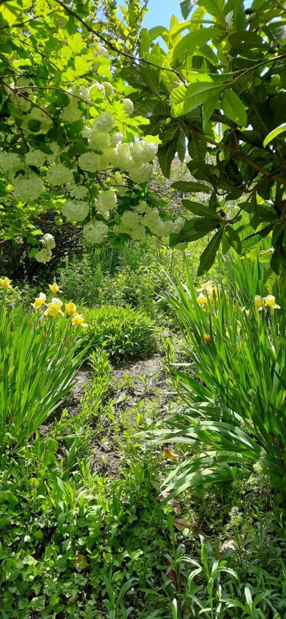Il Giardino Del Gallo شيراسكو المظهر الخارجي الصورة
