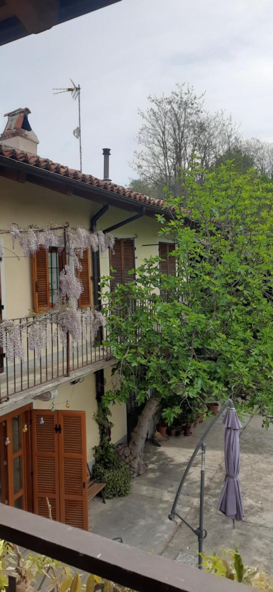 Il Giardino Del Gallo شيراسكو المظهر الخارجي الصورة