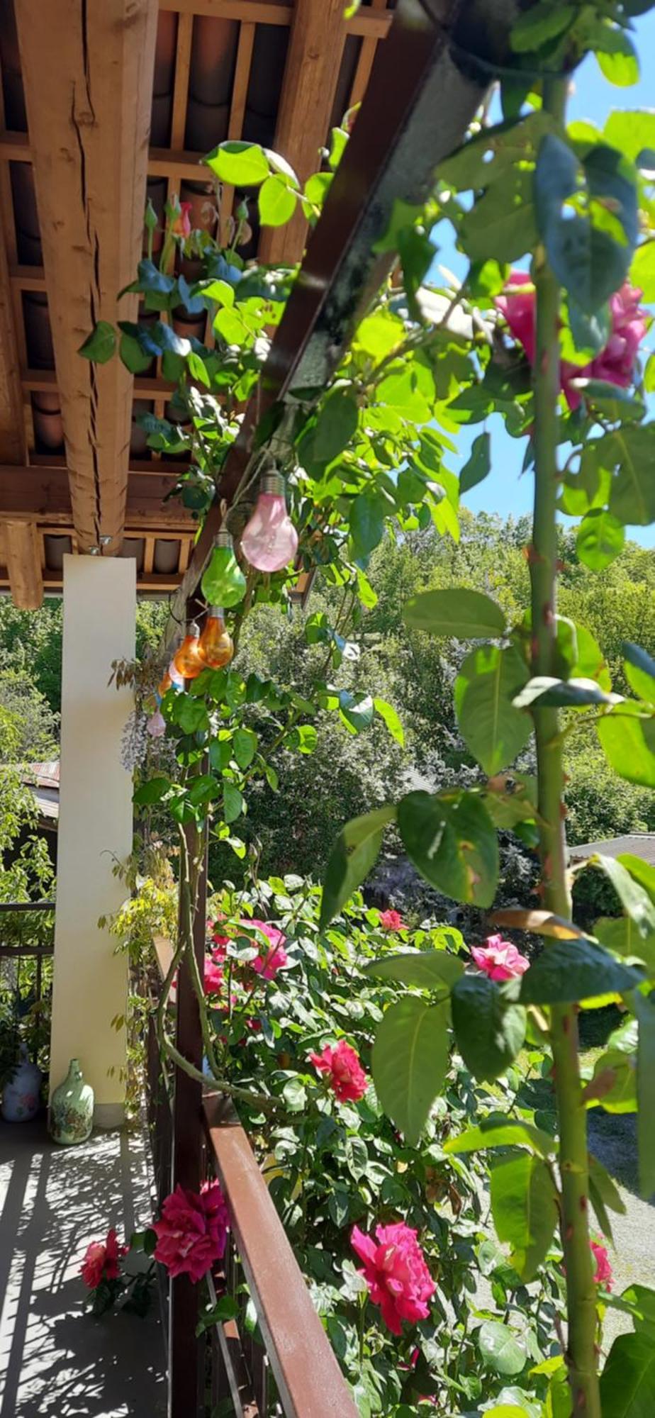 Il Giardino Del Gallo شيراسكو المظهر الخارجي الصورة