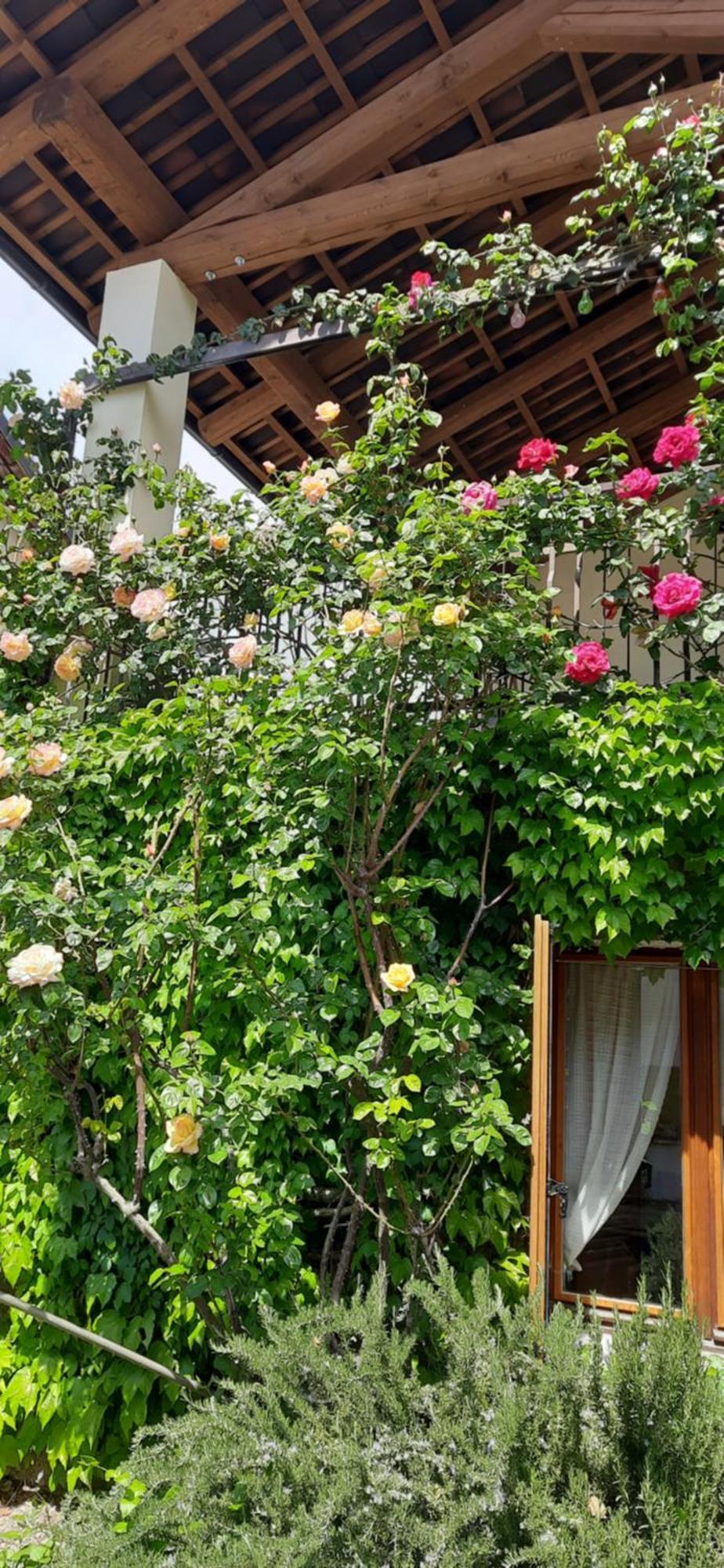 Il Giardino Del Gallo شيراسكو المظهر الخارجي الصورة