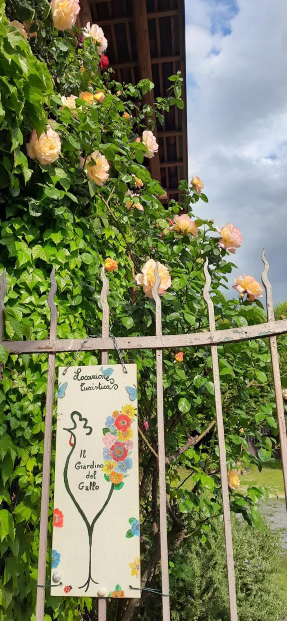 Il Giardino Del Gallo شيراسكو المظهر الخارجي الصورة